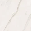 PLOČICA ARA LIGHT BROWN 60X60 GRANIT SJAJ INDIA