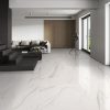 PLOČICA ARA LIGHT BROWN 60X120 GRANIT SJAJ INDIA