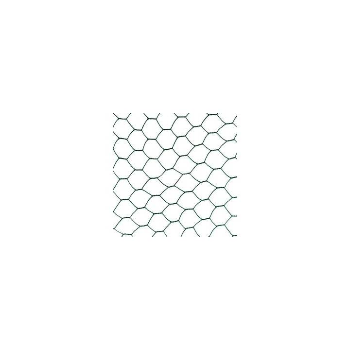 HEXAGON PLASTIFICIRANI 16MM 1M